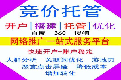 SEM广告投放的技巧与策略——成功案例分享